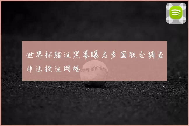世界杯赌注黑幕曝光多国联合调查非法投注网络