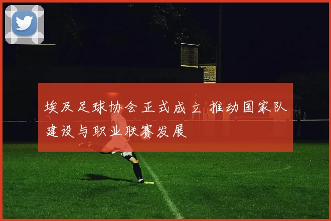 埃及足球协会正式成立 推动国家队建设与职业联赛发展