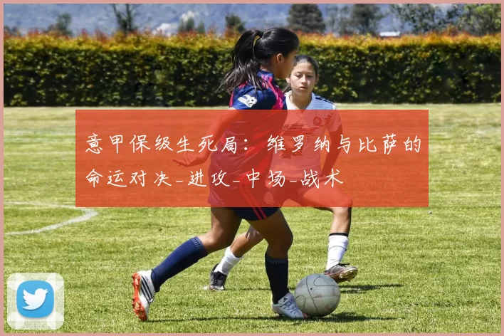 意甲保级生死局：维罗纳与比萨的命运对决_进攻_中场_战术