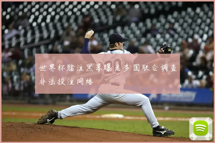 世界杯赌注黑幕曝光多国联合调查非法投注网络