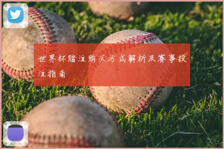 世界杯赌注购买方式解析及赛事投注指南