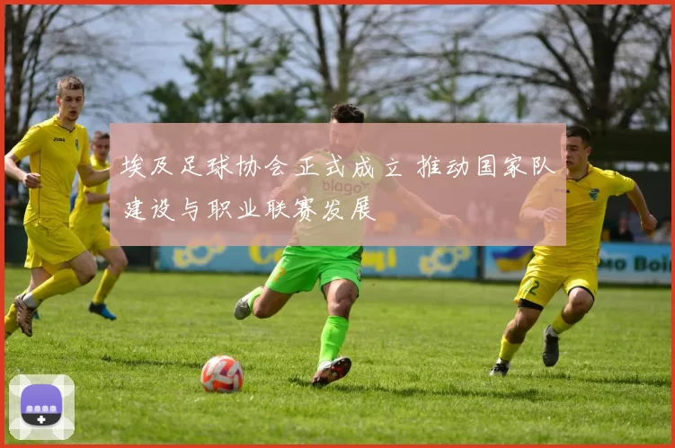 埃及足球协会正式成立 推动国家队建设与职业联赛发展