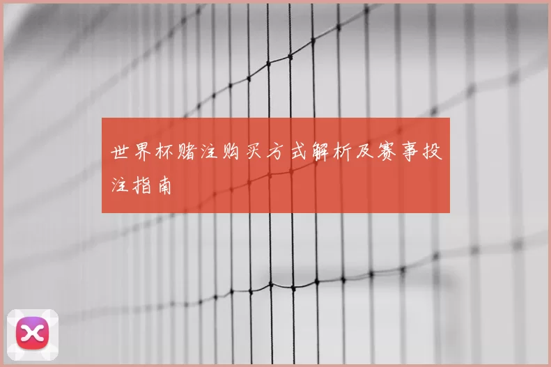 世界杯赌注购买方式解析及赛事投注指南
