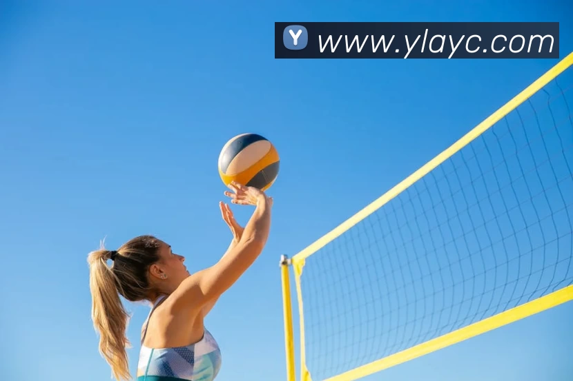 App Interface Preview